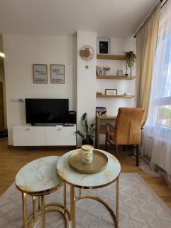 Apartment Mint nest - Novi Sad - 1