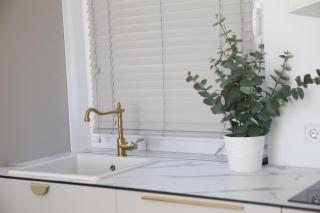 Genio apartamentai Kunigiskiuose - Palanga - 2