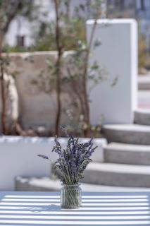 EGIDA camere mediterranee - 0
