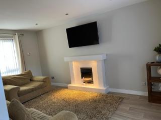 The Nest - Belfast - 2