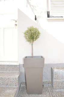 Athina studios - Ipsos - 6