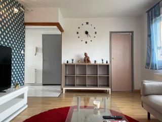 Entier Big Appartement - Albi - 8