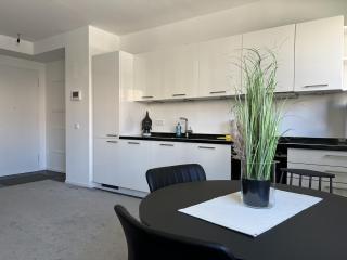 Luxury Waterfront Apartment - 8