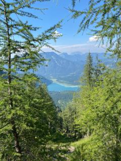 Hotel Hochsteg Gütl | Traunsee Salzkammergut - Ebensee - 3