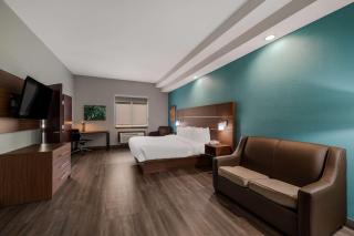 Best Western Plus Bowie Inn & Suites - 8