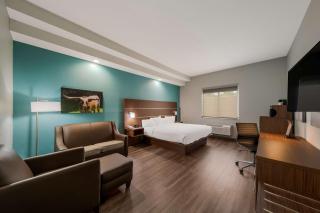 Best Western Bowie Inn & Suites - Bowie - 9