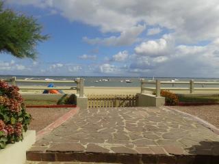 Charmant T2 avec Terrasse Sud, Accès Plage et Parking Sécurisé à Arcachon - FR-1-374-85 - Arcachon - 1