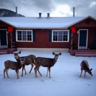 Three Bears Lodge - Red River - 6