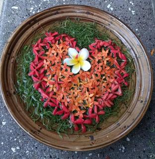 Villa Frangipani - Sanur - 1