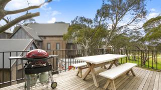 Alpine Walkabout - 8