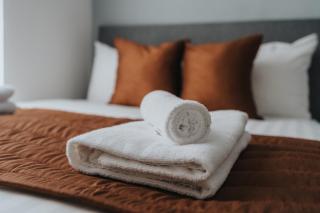 Vichy - Strathcona Suites, 3 beds houses in Wavertree - 8