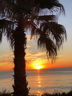 Apartament Blanco - Torrevieja - 8