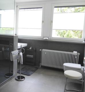 Apartment Oberwerth - Coblença - 2