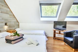 Logis Hotel Restaurant Bagatelle - 51530 Dizy - 1