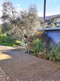 Camping Baldo - Brenzone sul Garda - 1