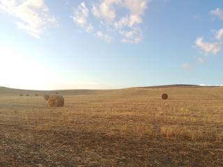 Podere Stabbiatelli - 7