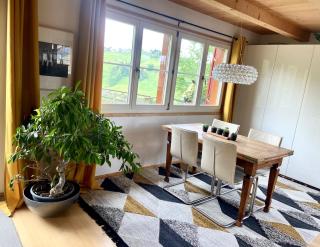Doppelzimmer in charmantem B&B - Hemberg - 4