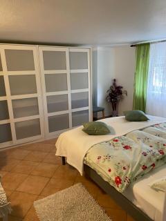 Apartment Mirana with garden and FREE parking - 8