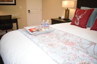 Palo Alto 1Bedroom/2 Baths Near Stanford - Palo Alto - 4