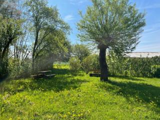 Holiday Home Alte Schmiede by Interhome - 9