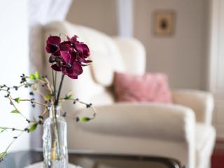 Apartment A905 by Interhome - Lahnstein - 4