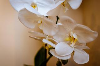 Appartamento Venti di Mare - 1