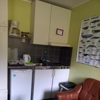 Milas House two apartments - Fredvang - 5
