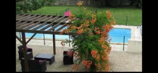 Les Roseries Boutique Gite - Clussais-la-Pommeraie - 9