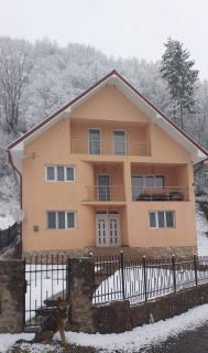 Casă de vacanță Lidia - Albac - 9