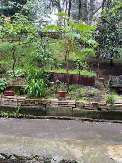 Lovely 1 bedroom apartment near Central Park - Tbilisi - 1