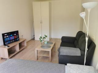 Modern studio Debreceno, Self-Check-In, Free Parking - 8