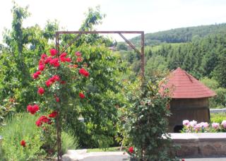 Gite Les Cerisiers - 4