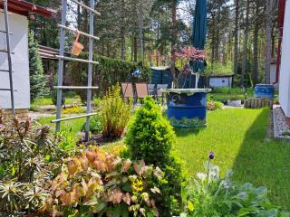 gemütlicher Bungalow am Rand der Dübener Heide - 6