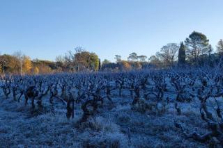 Appartement 3 pièces avec terrasse au soleil - 4