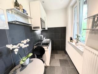 Cozy 1 room apartment in Zug - Zug - 8