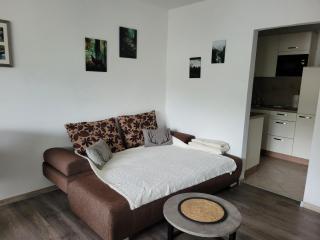Ferienwohnung Hilde - Bad Peterstal-Griesbach - 3