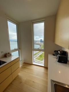 Luxury apartment downtown Reykjavik with stunning views - 1