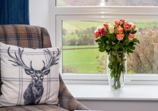Woodhead Farm Cottage - 4