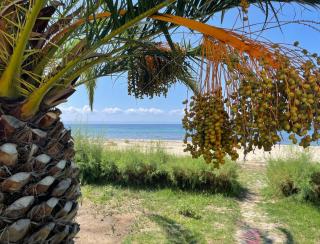 Stunning beachfront villa for rent - Metókhion Konstamonítou - 6