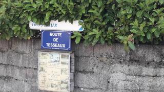 gite typique ardechois sous le figuier - Vals-les-Bains - 2