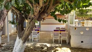 Hotel Tropicana - Datça - 4