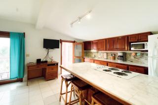 Condo 26 at Caribe Island Gold Standard Certified - San Pedro - 5