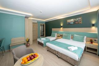 The Hotel Ottoman City Istanbul - Istanbul - 6
