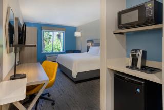 Holiday Inn Express and Suites Tampa I-75 at Bruce B. Downs by IHG - Tampa - 3
