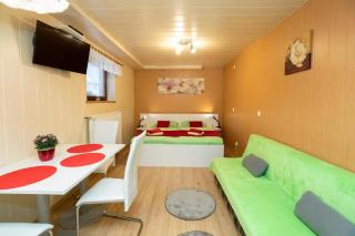 Studio Ara - Bohinj - 0