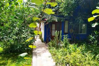 Popurrí, cálido hogar III - 3