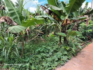 Chez Mkoudou - Ouangani - 3