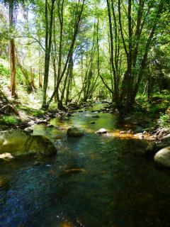 Serra Vida - A Place Of Presence - 2