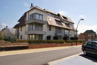Amena Gv02 G - Koksijde - 0