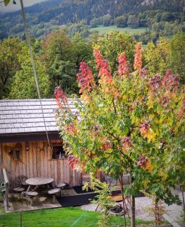 Chalet trappeur - Le Biot - 2